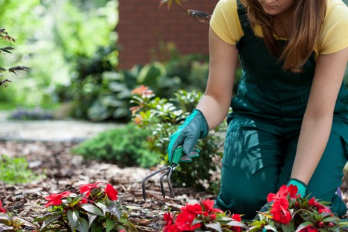 Sustainable landscape gardening practices in Northolt
