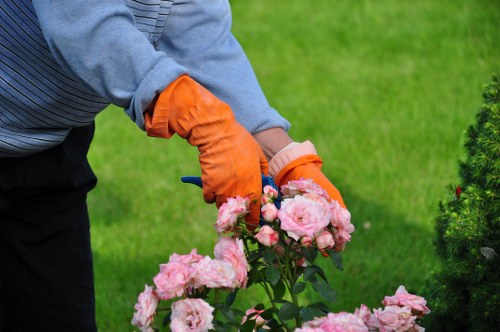 Accident reporting and insurance documents for a gardening company