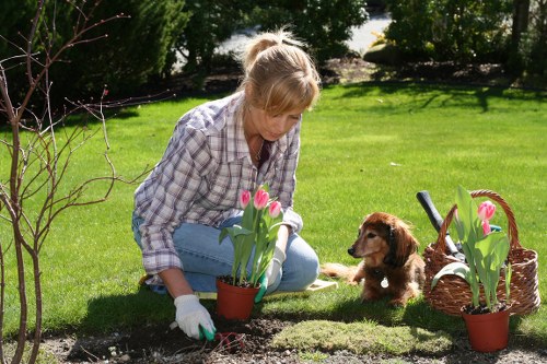 Garden maintenance crew trimming and pruning plants