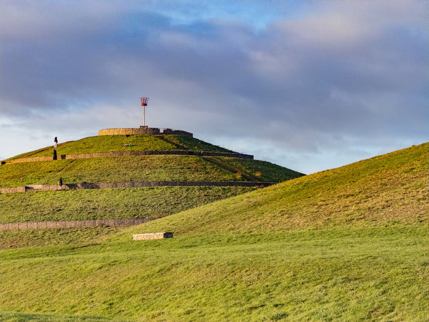 A landscape scene during dusk featuring a gently sloping grassy hillside in the foreground, with textures of dry grass and small shrubs visible along the slope. The background shows a partly cloudy sk